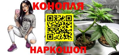 бошки Донецк