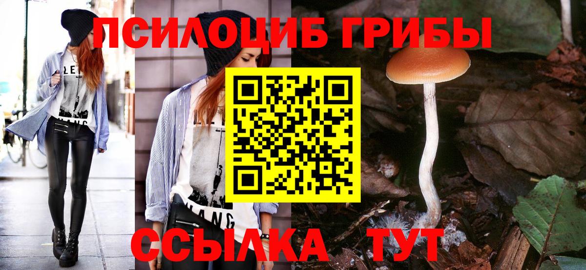 Галлюциногенные грибы Psilocybine cubensis Магадан
